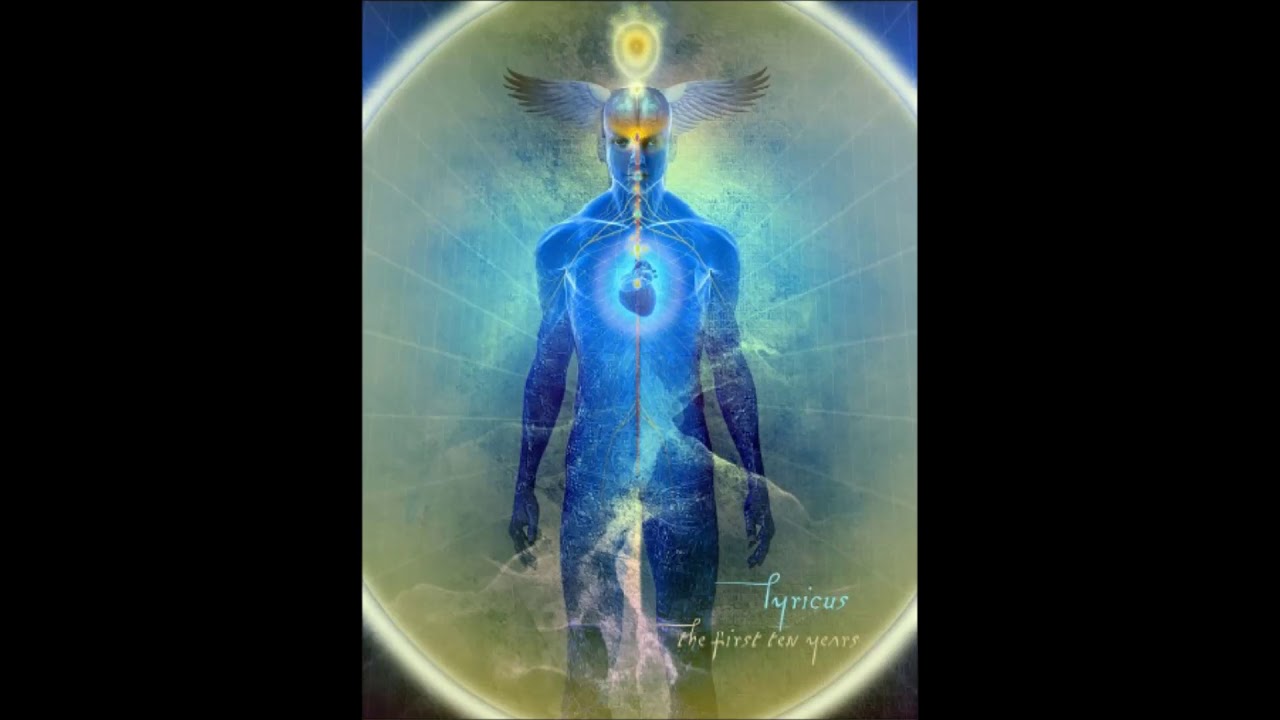 Wingmakers chambers 17-24（小循環 / music cycle）