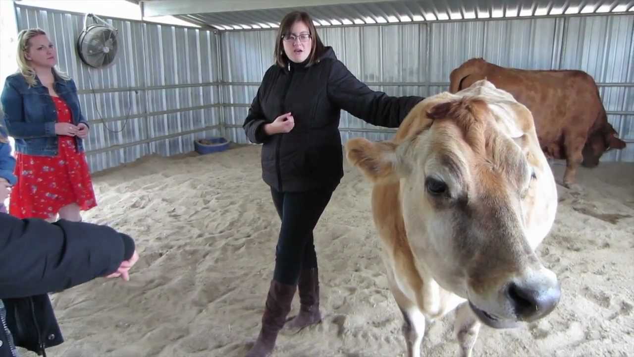 Vlog: Visiting The Gentle Barn ♥