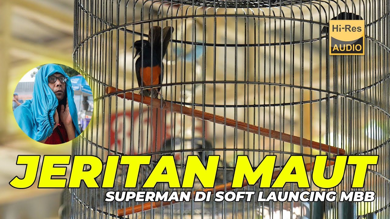 Jeritan Maut King Superman di Soft Launching MBB
