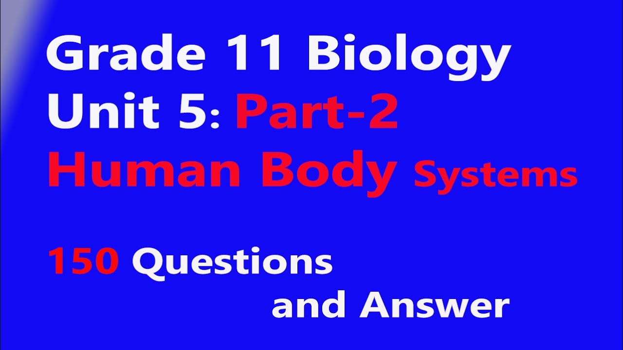 Grade 11 Biology Unit 5 part 2 Human Body Systems Questions and Answers