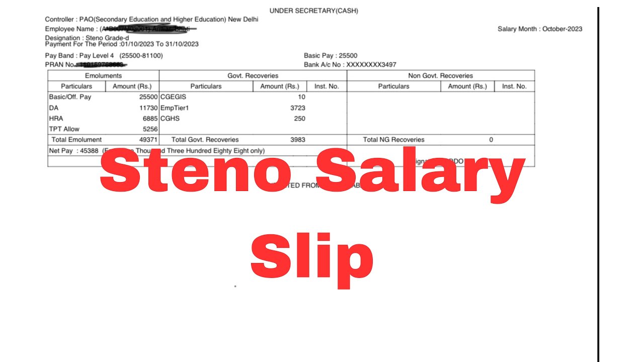 SSC STENOGRAPHER SALARY AFTER 1 YEAR / STENO JOB 2024 / SHORTHAND / SSCMATE NAKSH / GOV EXAM / SKILL