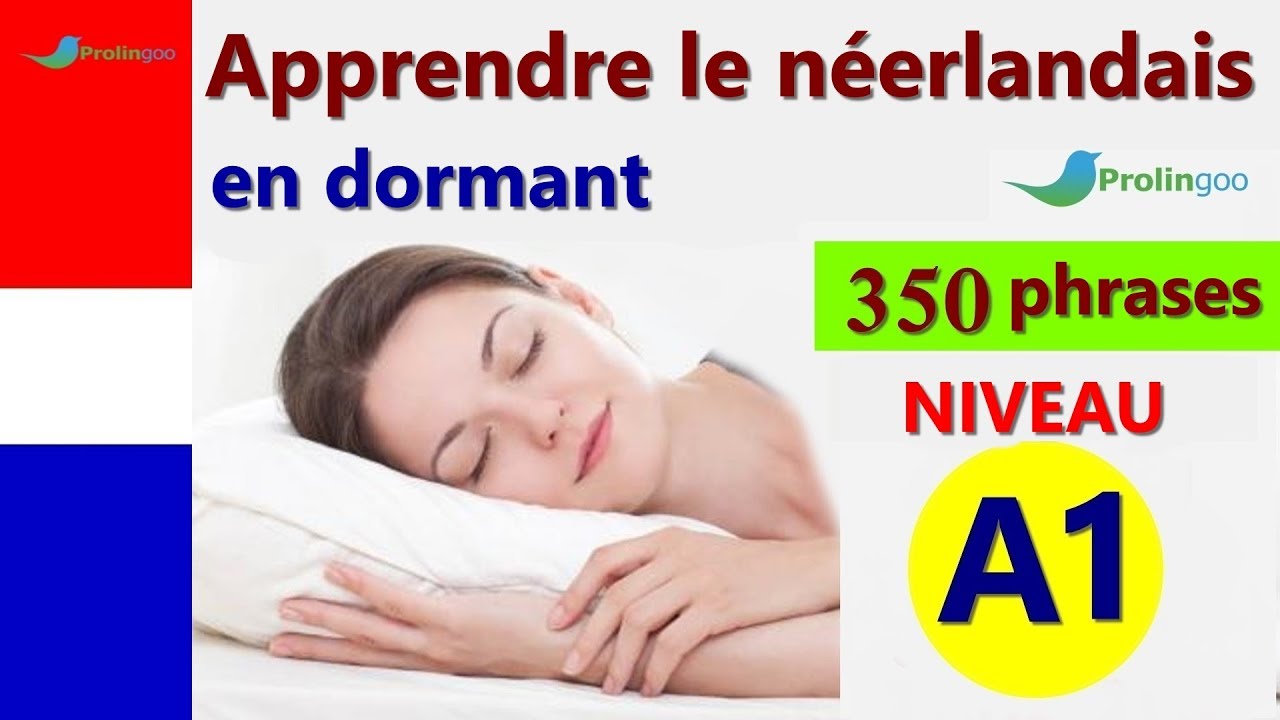 Apprendre le Néerlandais | Les expressions et mots les plus importants en Néerland