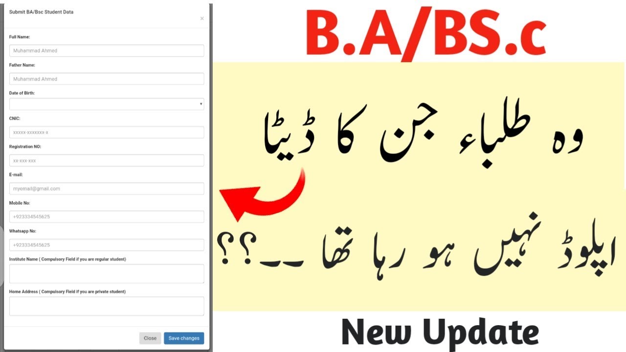 How to Update BA BSc Online Portal in Punjab University | B.a Bs.c Online data Submission Error