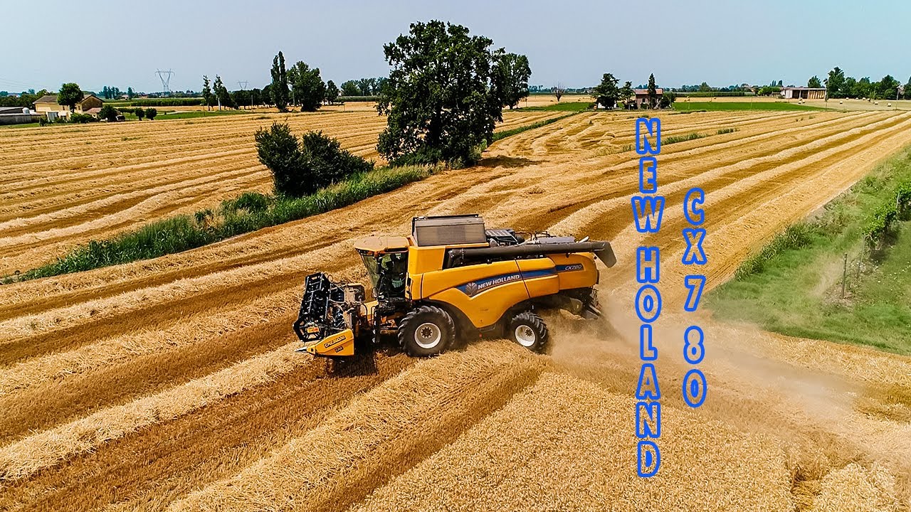 New Holland CX7.80 - Cressoni CRX | Trebbiatura Frumento