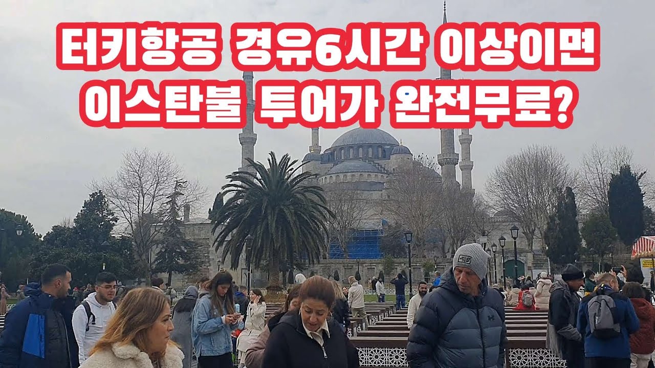 🇹🇷터키항공이 공짜로 밥주고 여행시켜주네요 (투어이스탄불)