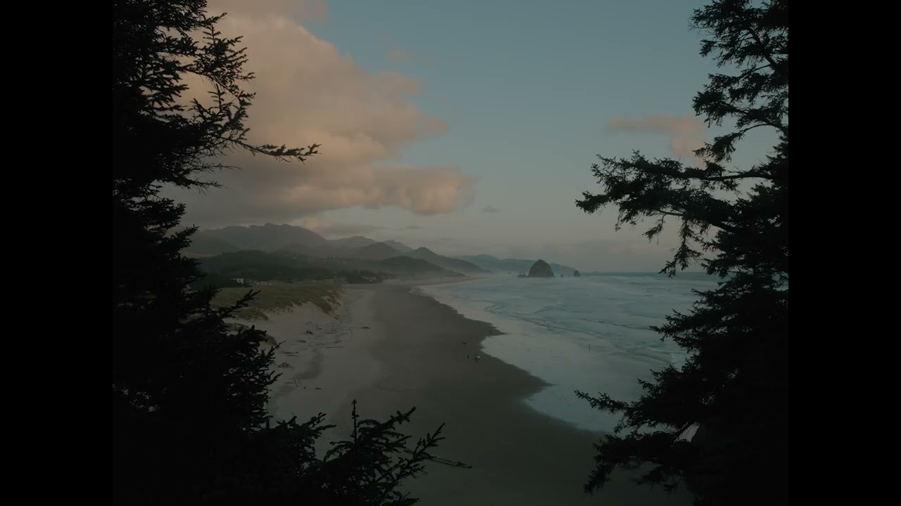 Hidden Cliffside Path Overlooking the Pacific  - 1 Hour Ambient Scene for Sleep and Focus