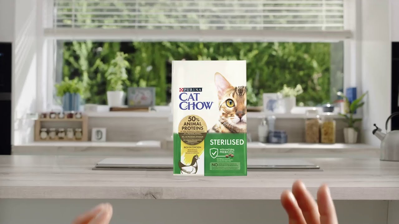 Purina® Cat Chow® -  Helps protect your pet every day!