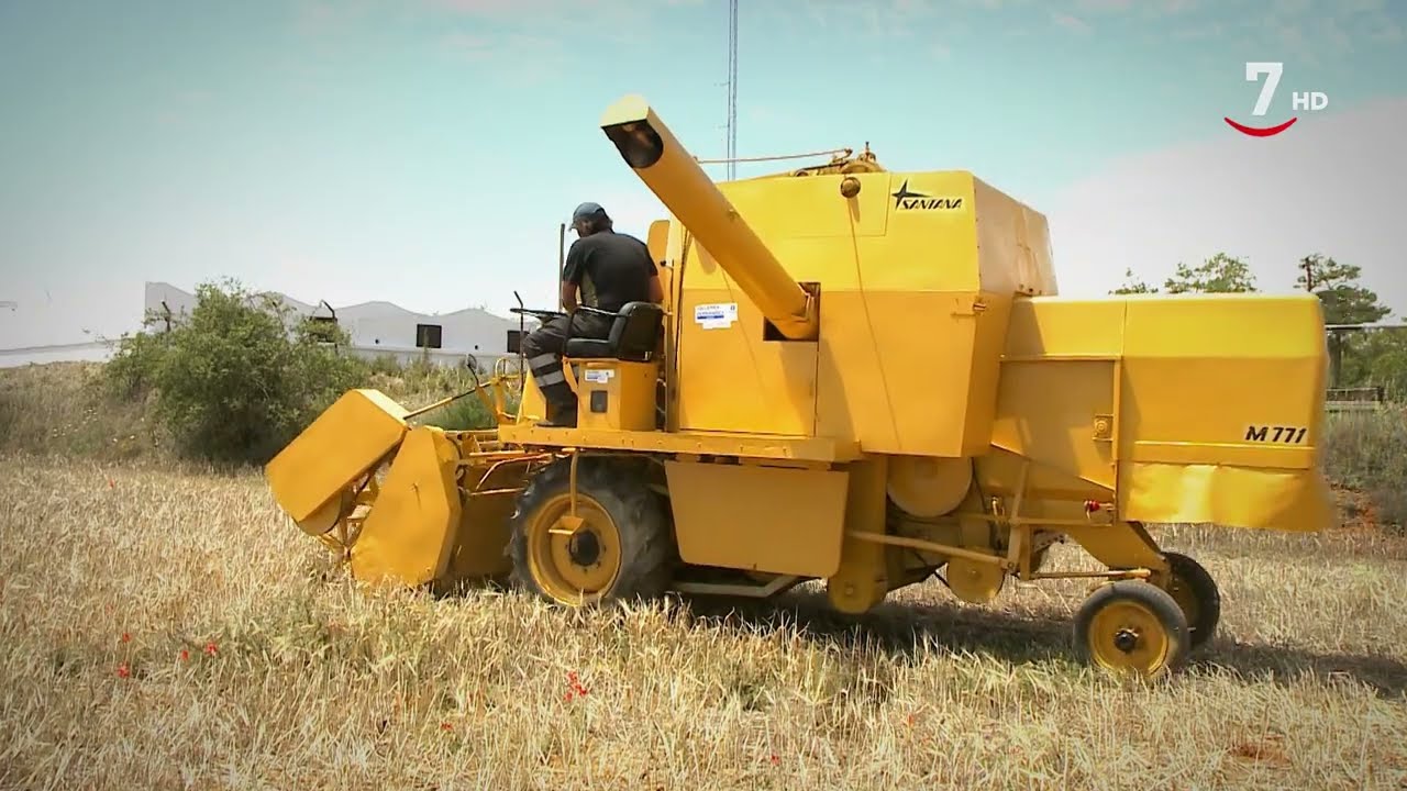 Así funciona la cosechadora vintage Santana M771 de los años 60 | Agro en acción