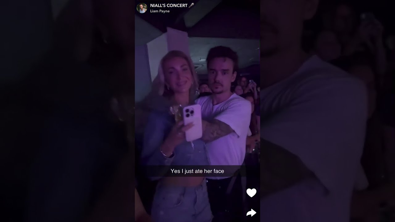 Liam Payne in at Niall concert | Liam Payne en el concierto de Niall