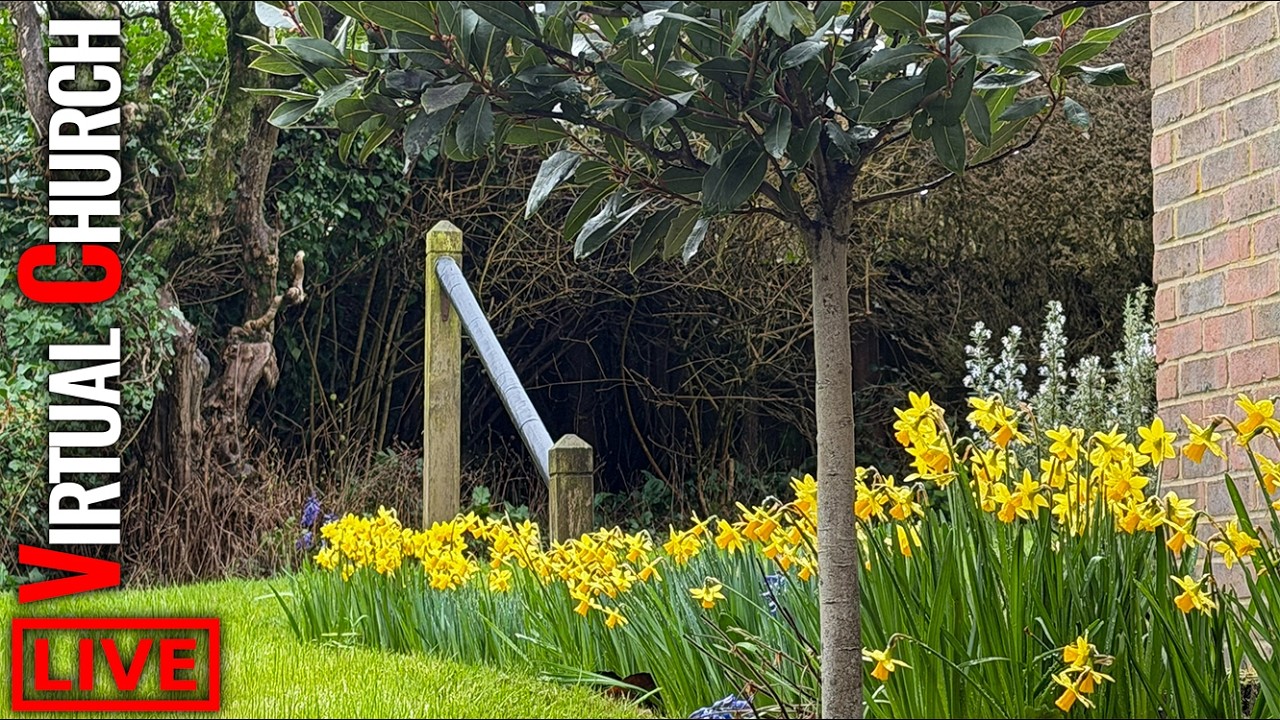 🔴 Our Daffodils Are Out | POPULAR HYMNS FOR SPRING!!