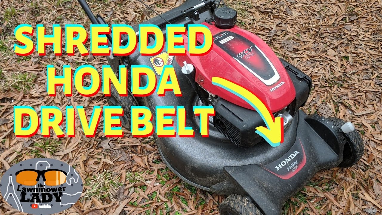 Honda HRN216 Drive Belt Replacement # 22431-VR8-N03