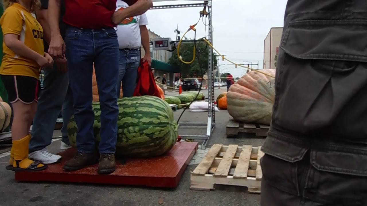World Record Watermelon SHATTERS OLD RECORD of 326 lb from ELVIS Video vault (2013)