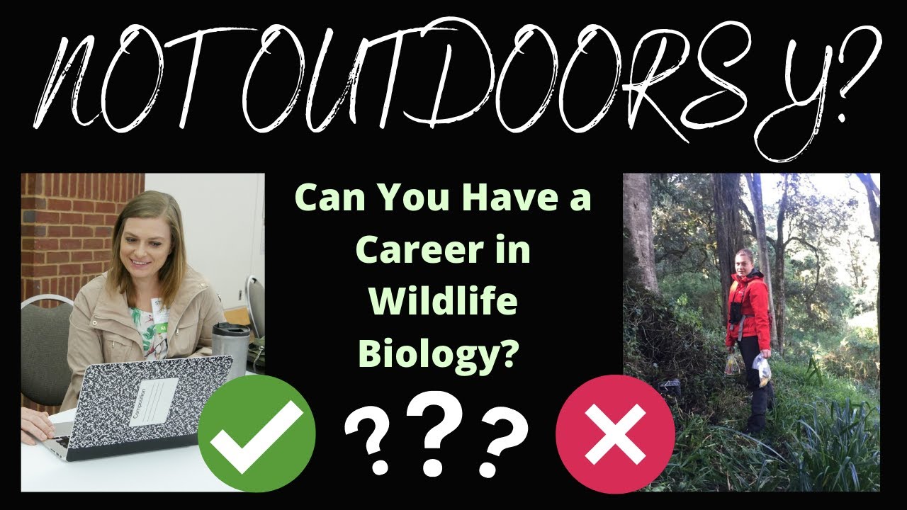 Can You Have a Career in Wildlife Biology if You are NOT Outdoorsy?