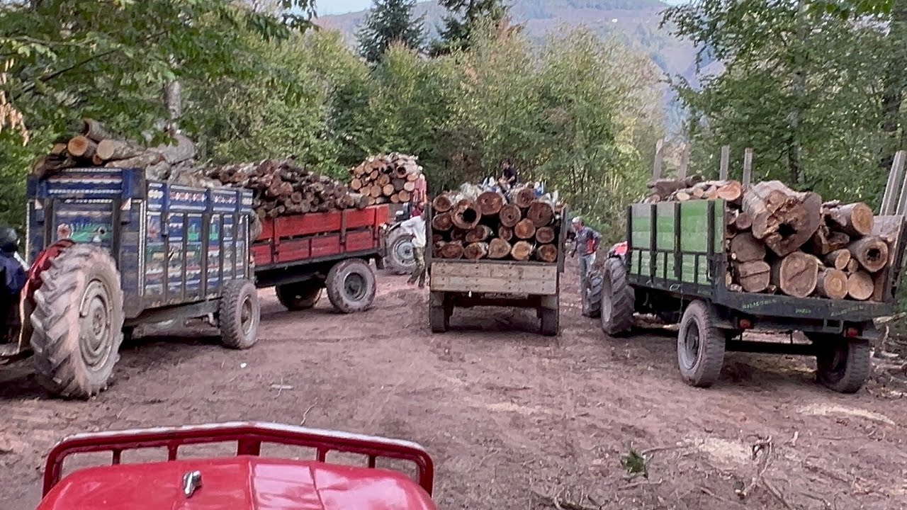 KURUDERE YAKACAK ODUN ALIMI, Orman günlüklerinde bugun yaşanan Maceralar…👍✅