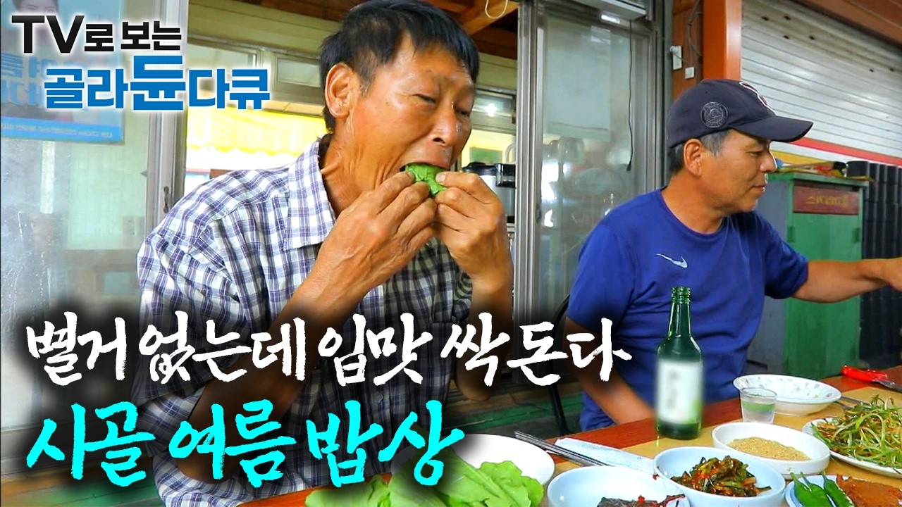 무더위에 집 나간 입맛 싹 돌게 해주는 여름 밥상 모음｜한국기행｜#골라듄다큐