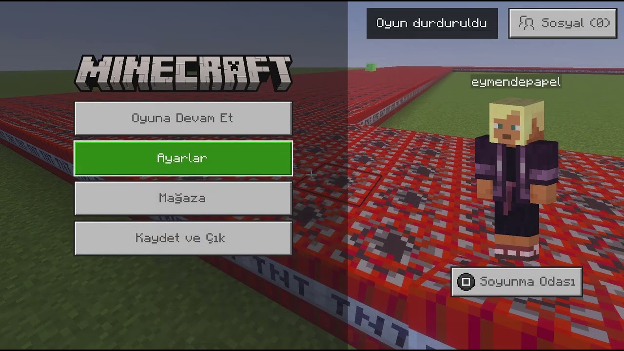 tnt koyuyorum part1 #oyunumadokunma 