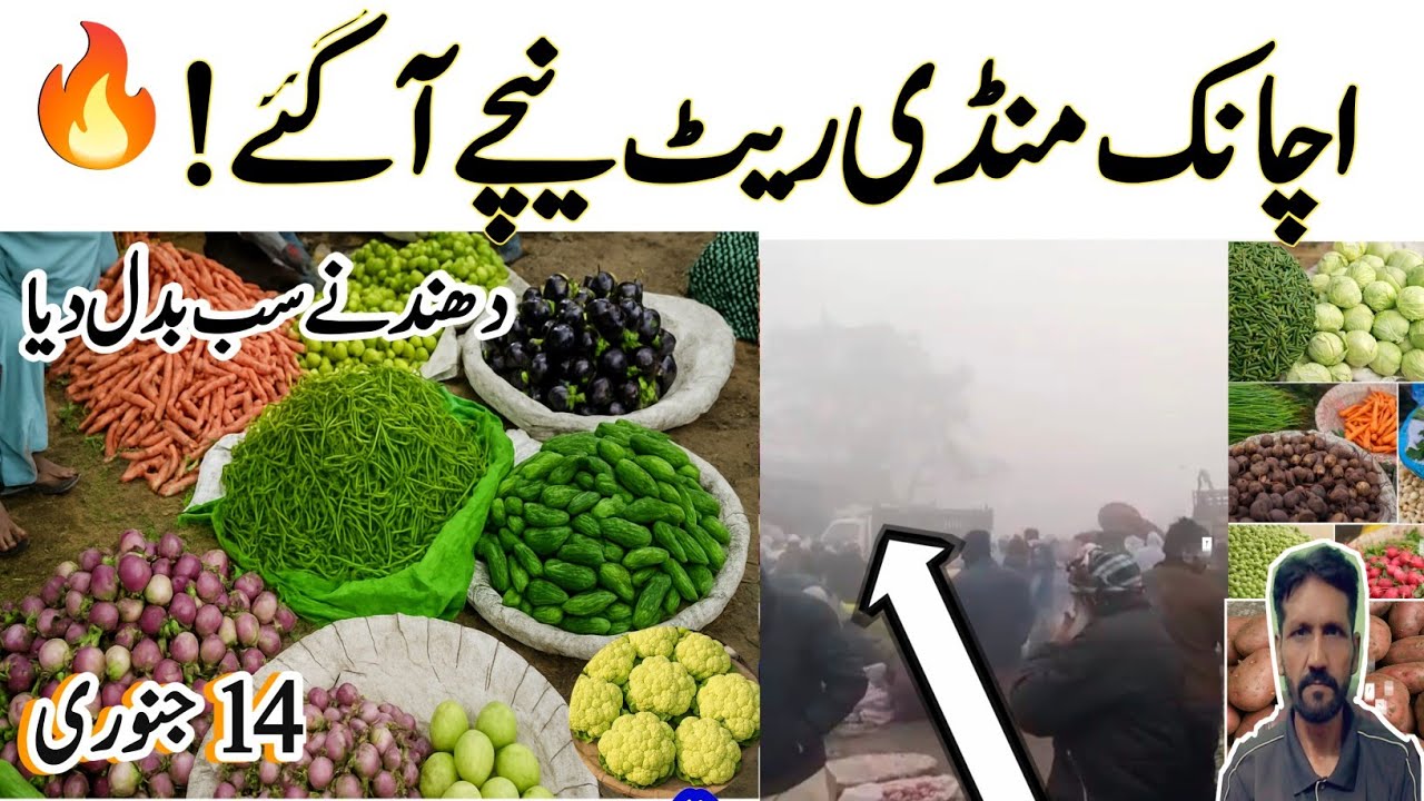 "Today Vegetable Market Rates | Sudden Price Drop in Heavy Winter Fog ❄️ | 14 January 2026"