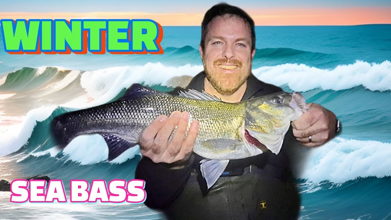 Winter Bass fishing with savage gear Surf Seeker & V2