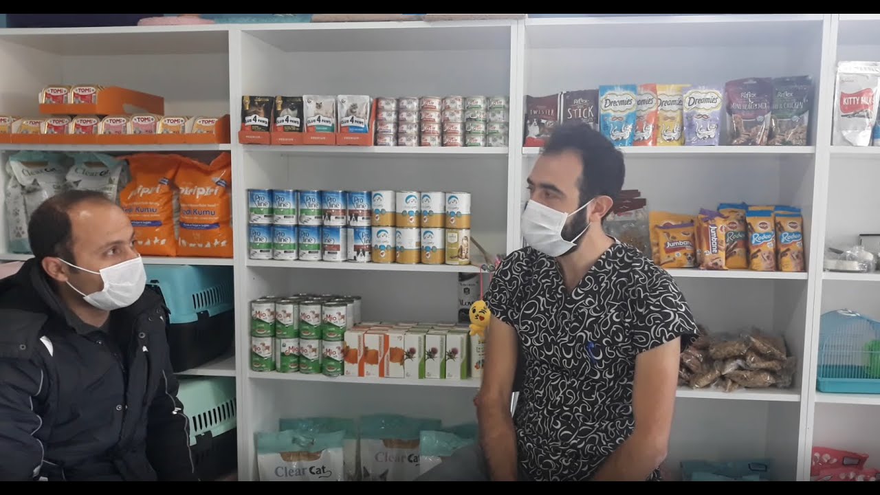 SALMONELLA HASTALIĞI VE TEDAVİSİ !! VETERİNER HALİL HOCA