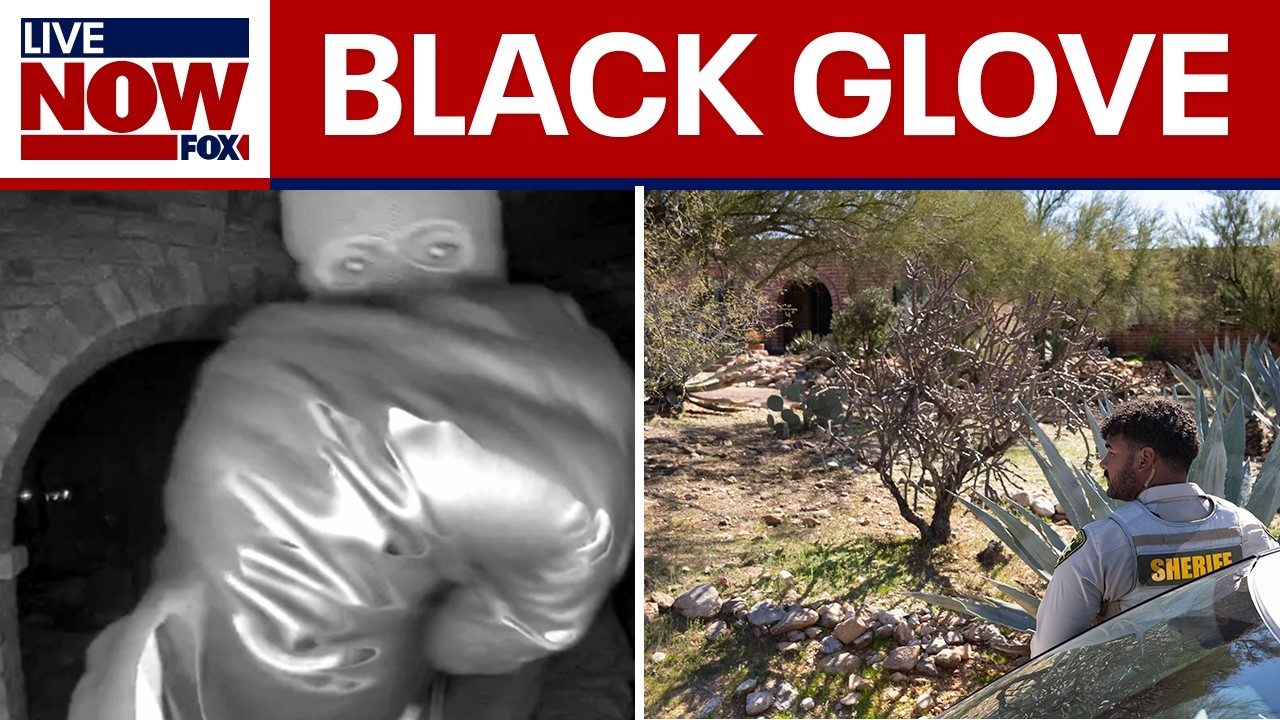 Black glove found near Nancy Guthrie's home, reports say
