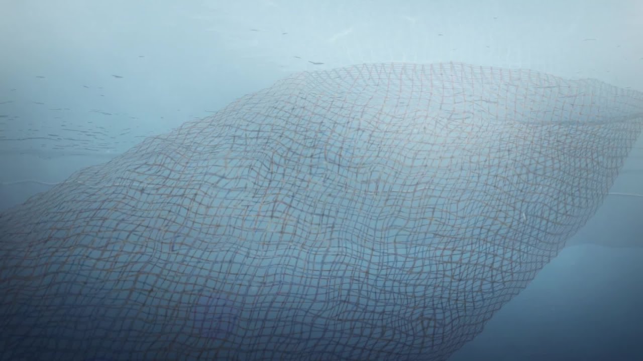 Ghost nets explained
