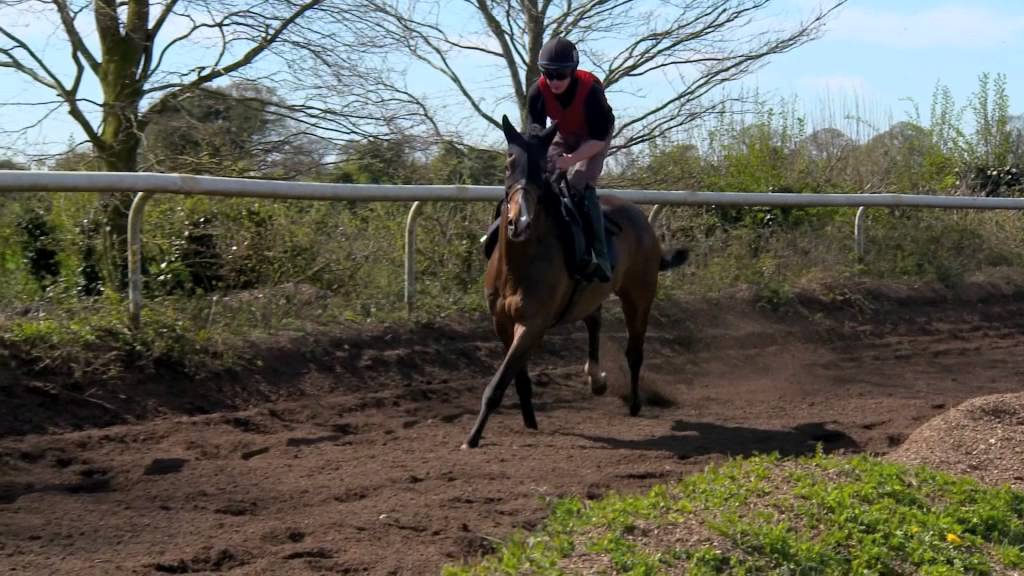 Tracy Piggot Meets Willie Mullins (Part 1) | RTÉ Racing