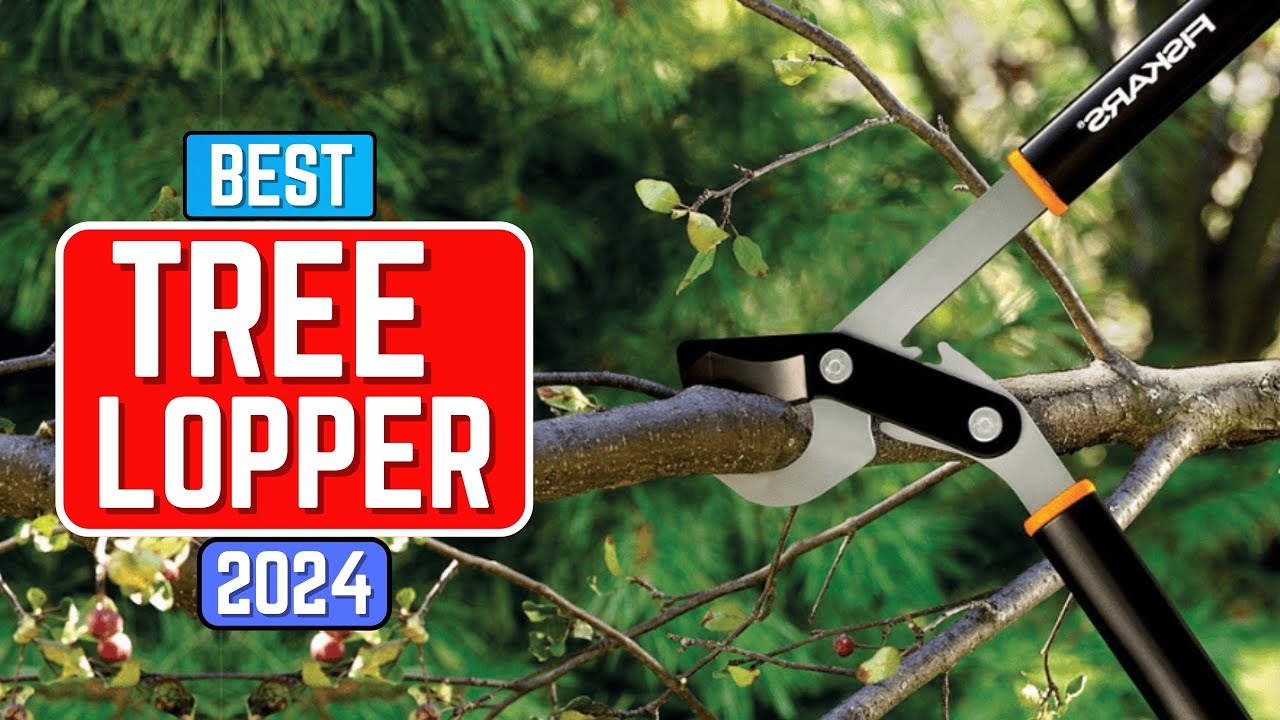 Top 5 Best Tree Loppers in 2024 | Tree Loppers Review 2024