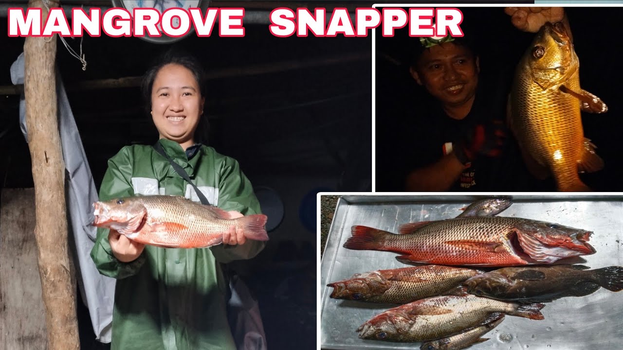 MANGROVE RED SNAPPER + TAGUIWALO EEL