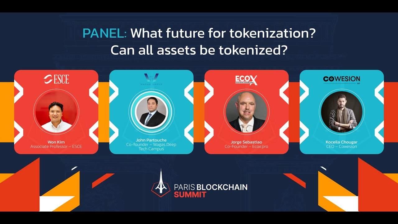 PBS IV : What future for tokenization? Can all assets be tokenized?