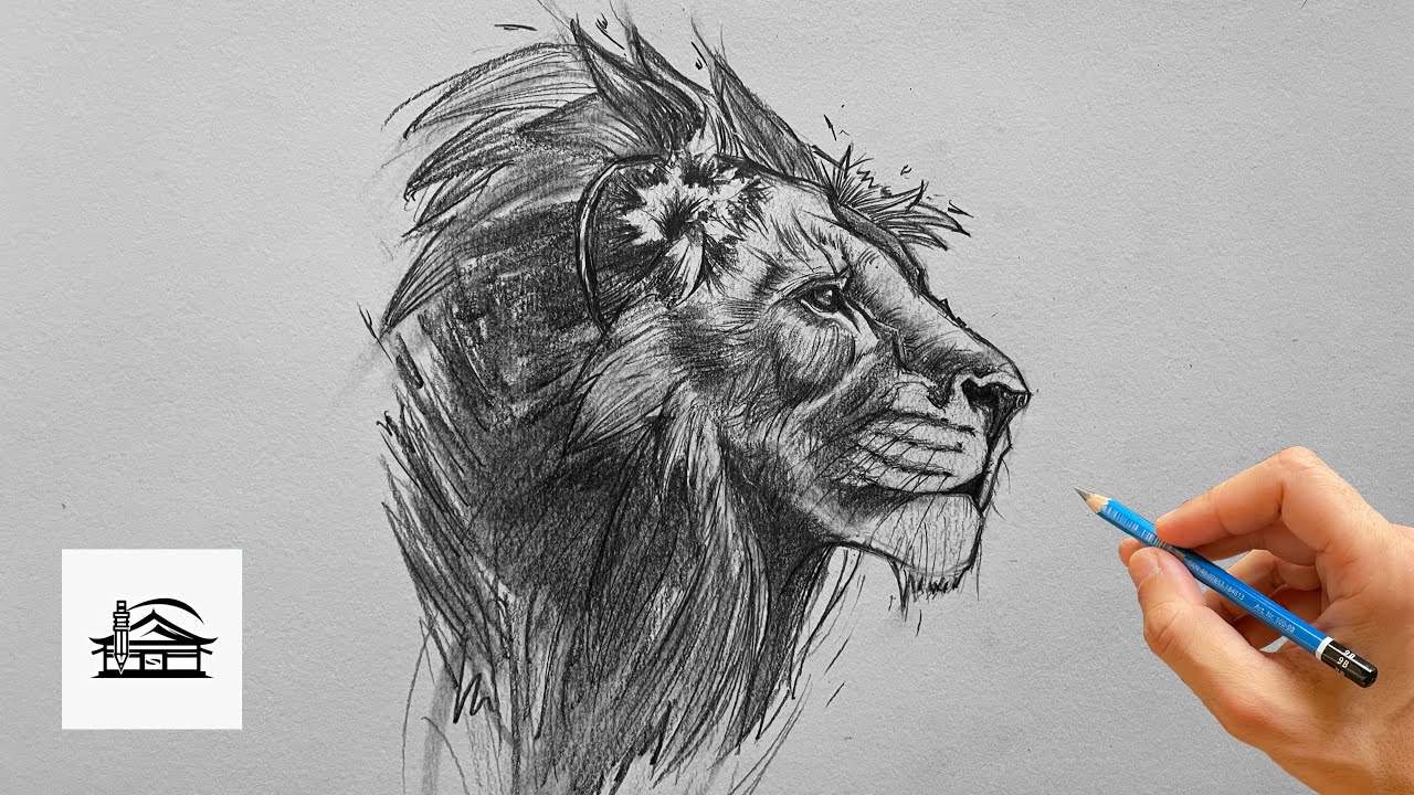 How to Draw a Lion – Sketch Tutorial