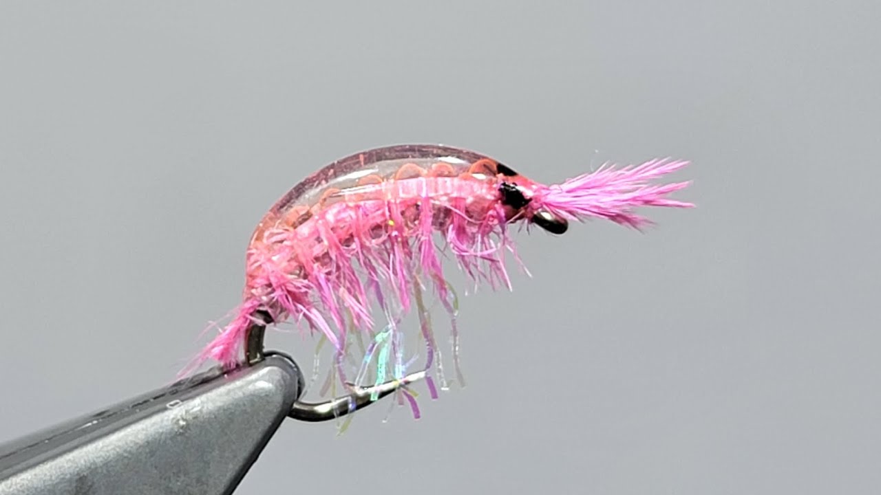 Tying the BEST UV Gammarus Scud Fly (In-Depth Tutorial)