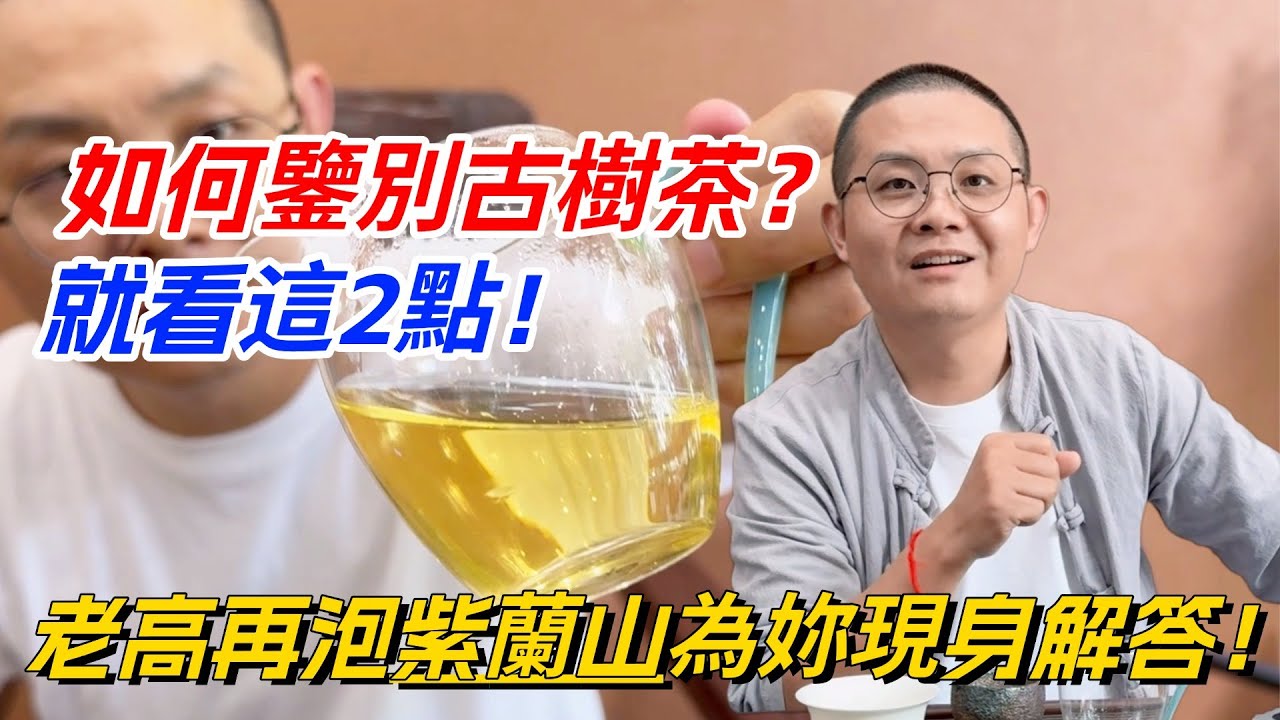 如何鑒別古樹茶？就看這2點！老高再泡紫蘭山為妳現身解答！购茶请加微信/赖line：HDLG001#普洱茶#古树茶#老班章#古树茶#茶#茶叶#茶葉#古樹茶 #普洱茶wechat #tea
