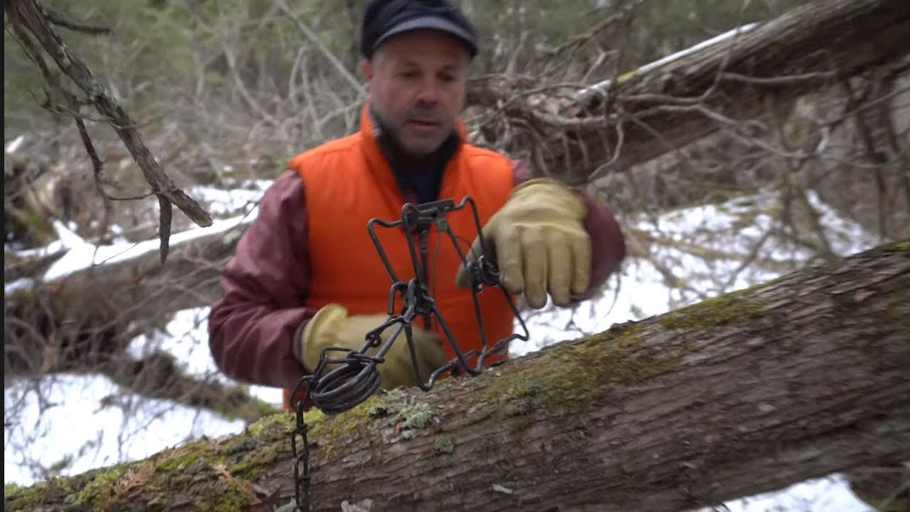 Discovering - Trapping Fisher, Trapping Coyote, Stocking Muskies