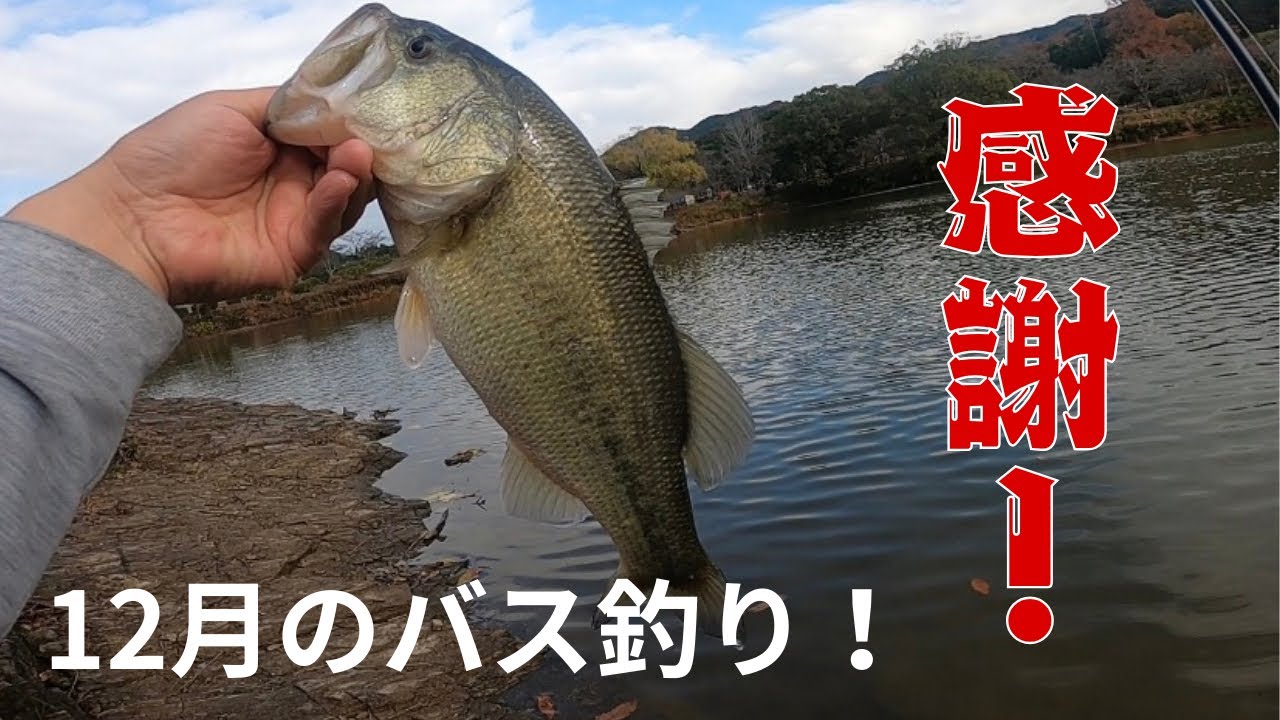 感謝！12月のバス釣り！