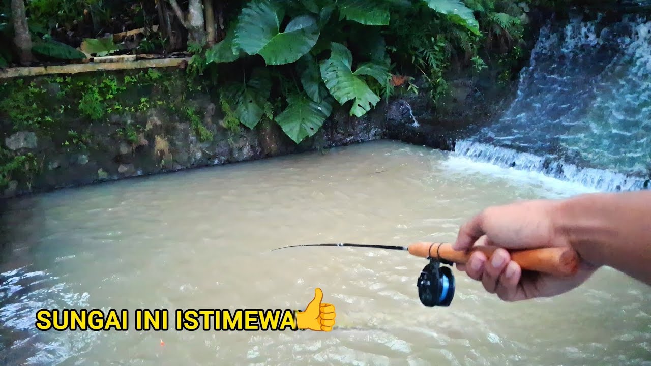 CEK SPOT MANCING TARGET WADER BABON !! Mancing ikan teknik kumbul umpan roti klik