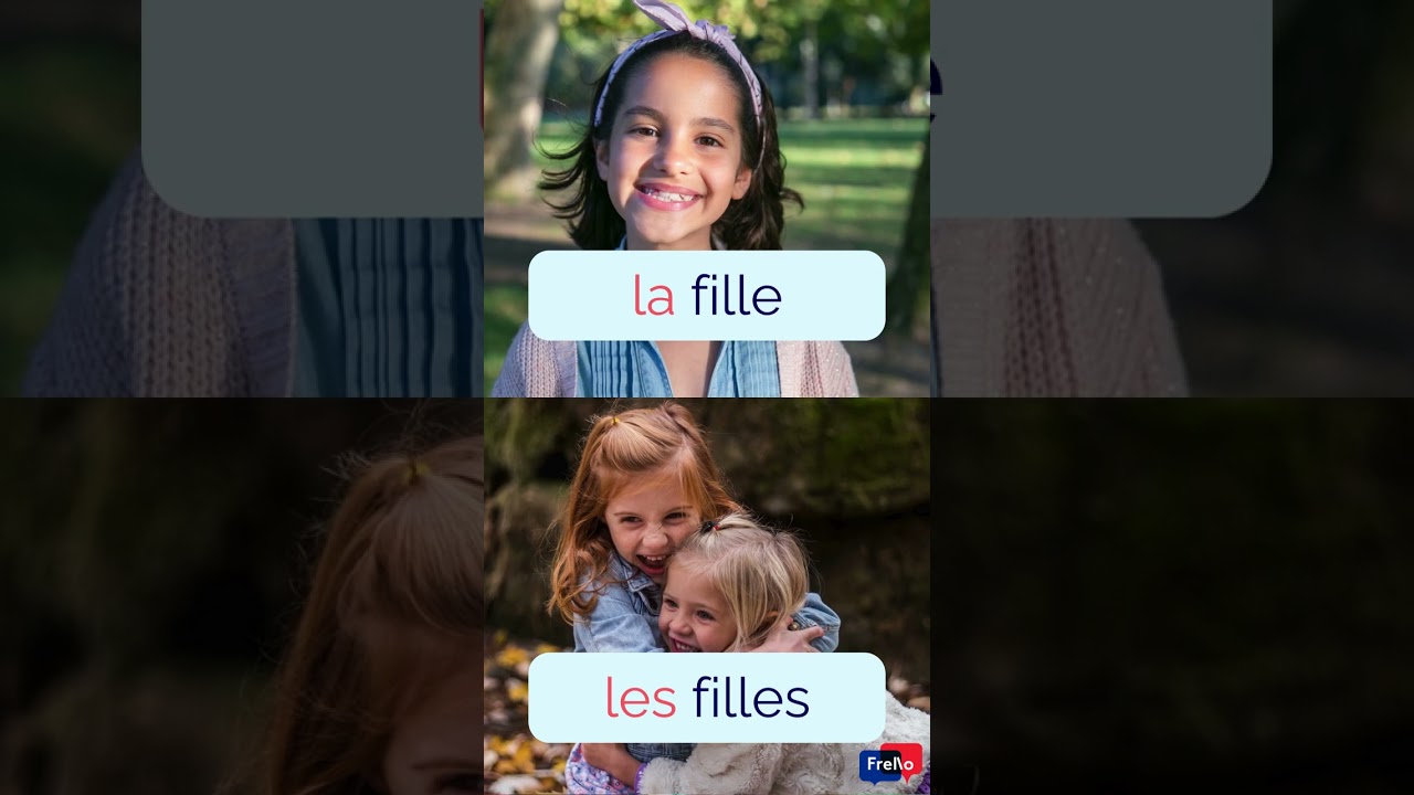 #3 A1 FLE - Les articles définis
