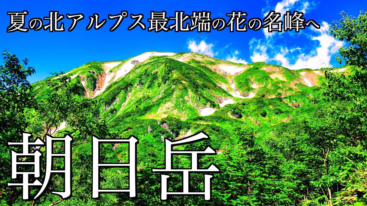 【テント泊登山】花咲く夏の朝日岳｜蓮華温泉から五輪尾根を経て北アルプス最北端の頂へ＜Japan in 4K＞