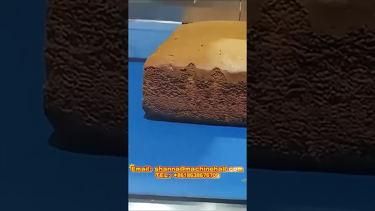 Cake Slicer  Fully Automatic Cake Production Line