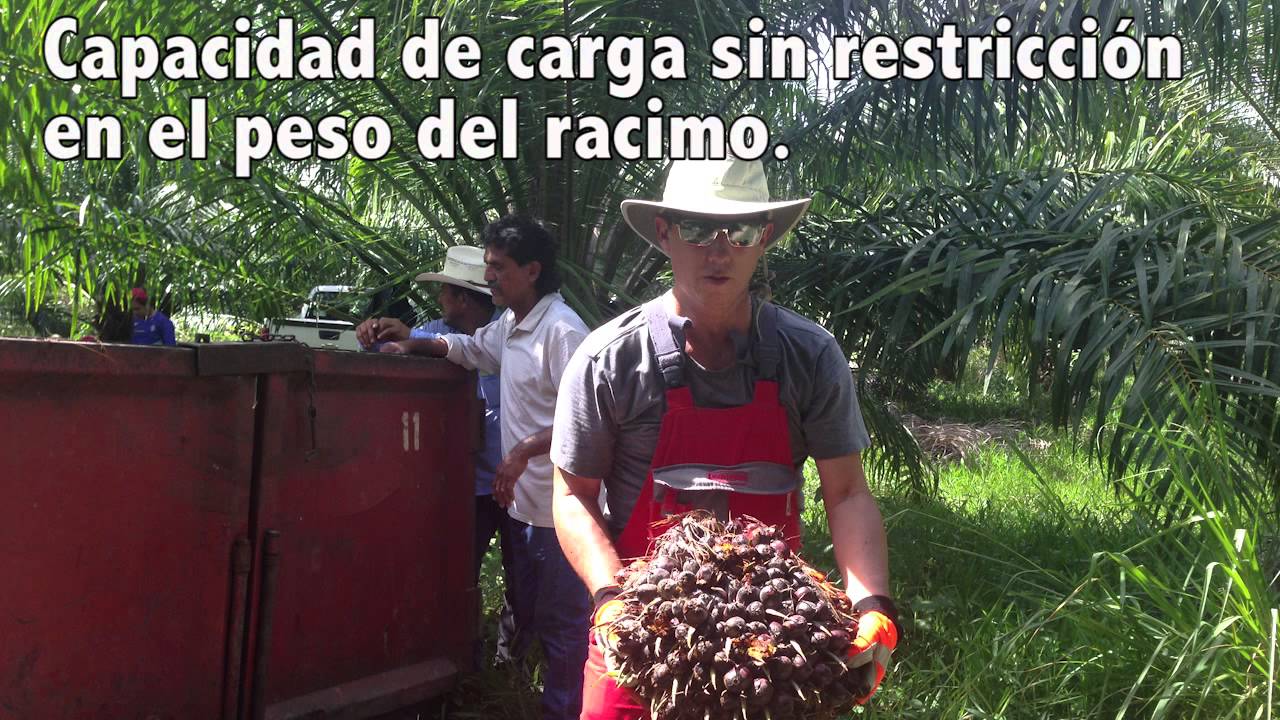 Erreppi Buffalo 2+ HR en Colombia