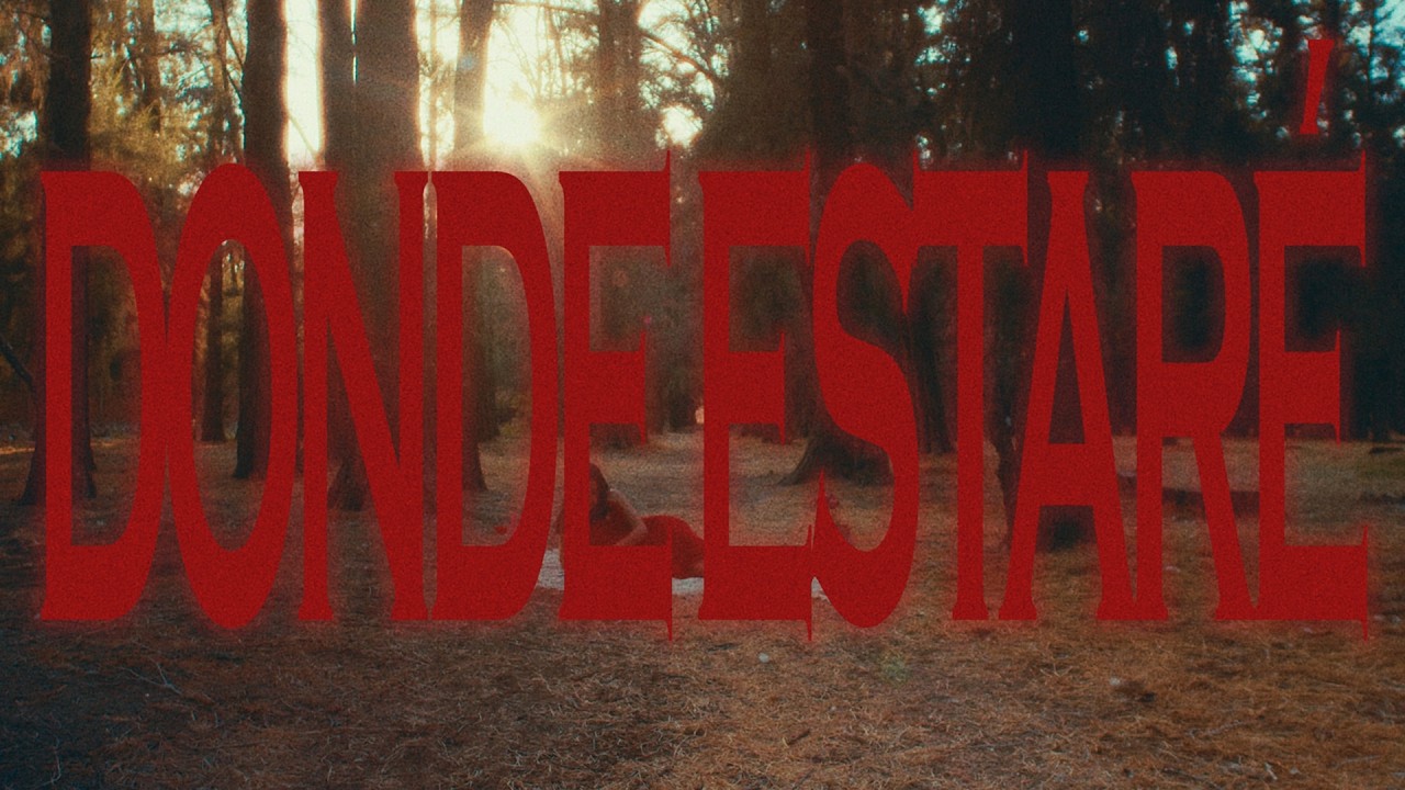 KARLII - donde estaré (Visualizer)