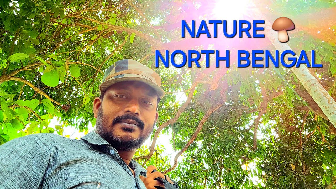 NORTH BENGAL  ||  BEAUTIFUL NATURE