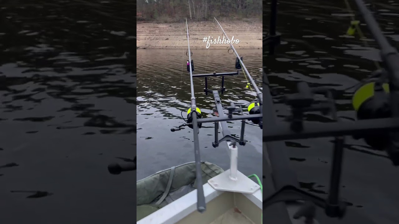 Shorts Carp run 