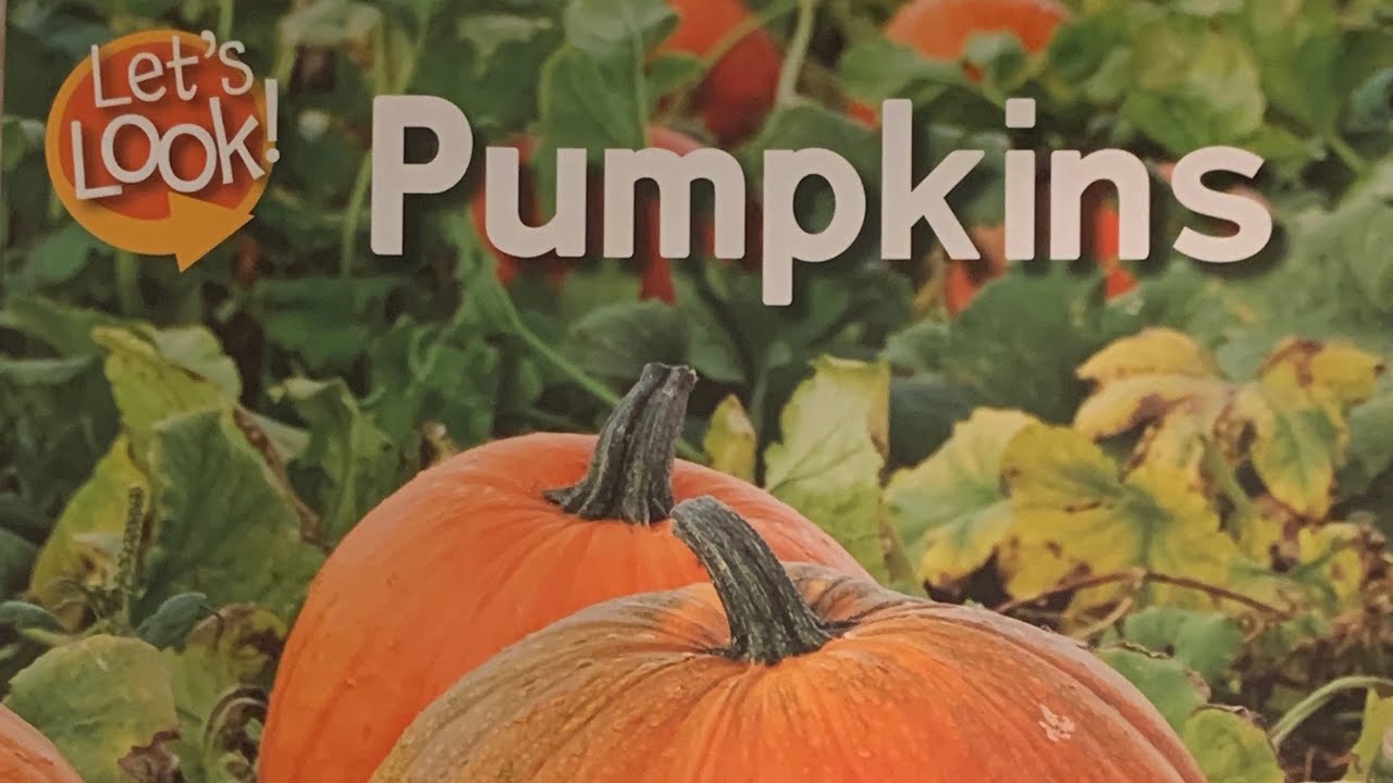 Pumpkins (A Non-Fiction Read Aloud) By: Chelsea Donaldson