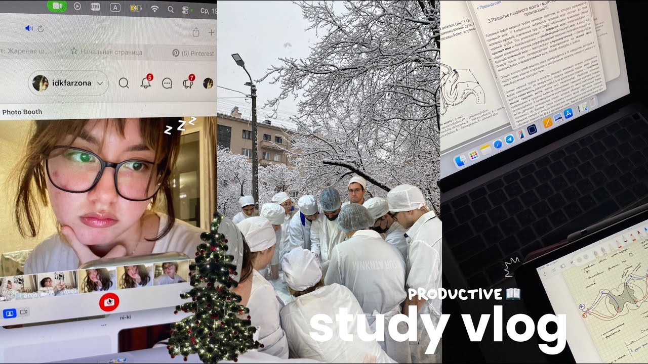 productive study vlog🎐: зачётная неделя в меде, подготовка к сессии и парам
