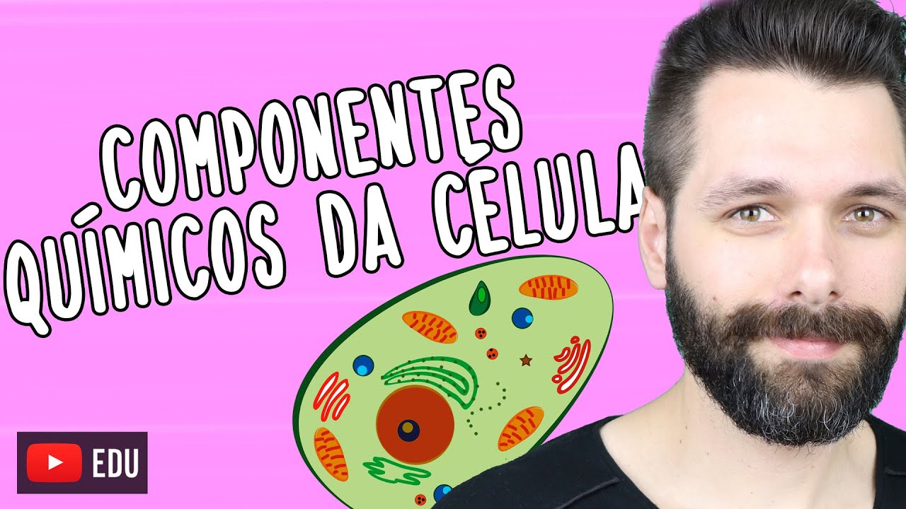 COMPONENTES QUÍMICOS DA CÉLULA| Biologia com Samuel Cunha