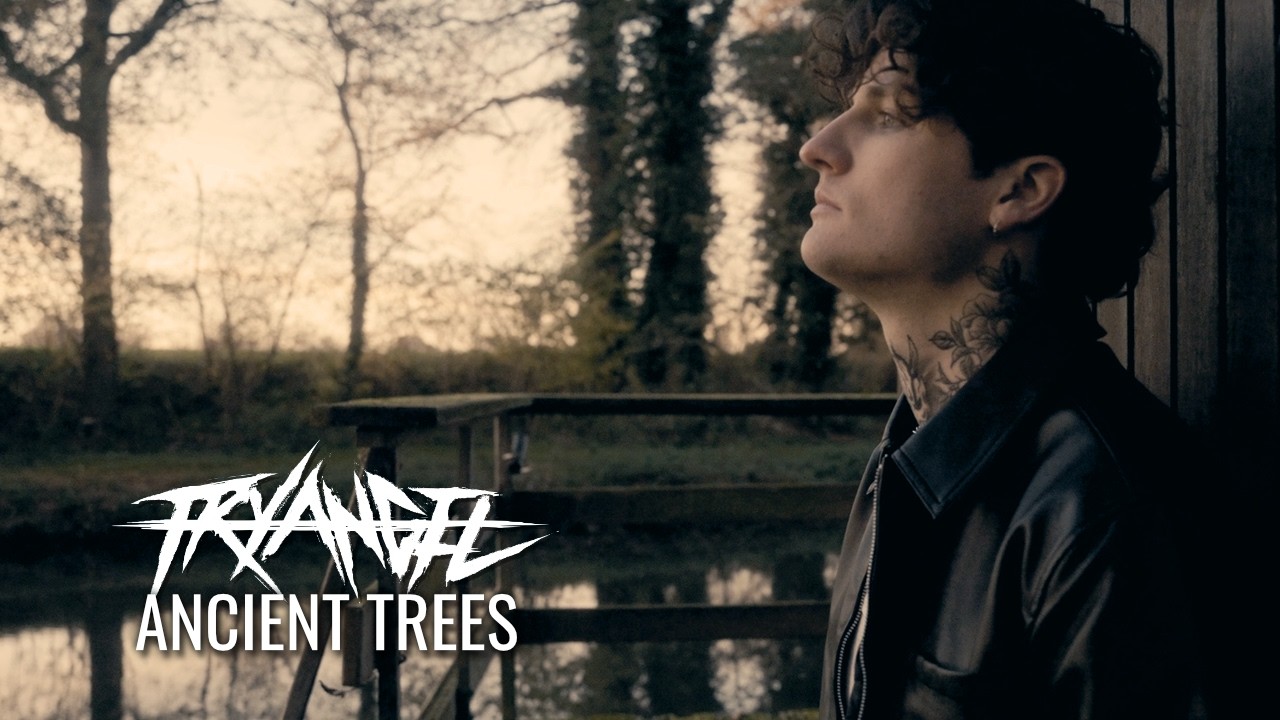 Try Angel - Ancient Trees (Official Music Video)