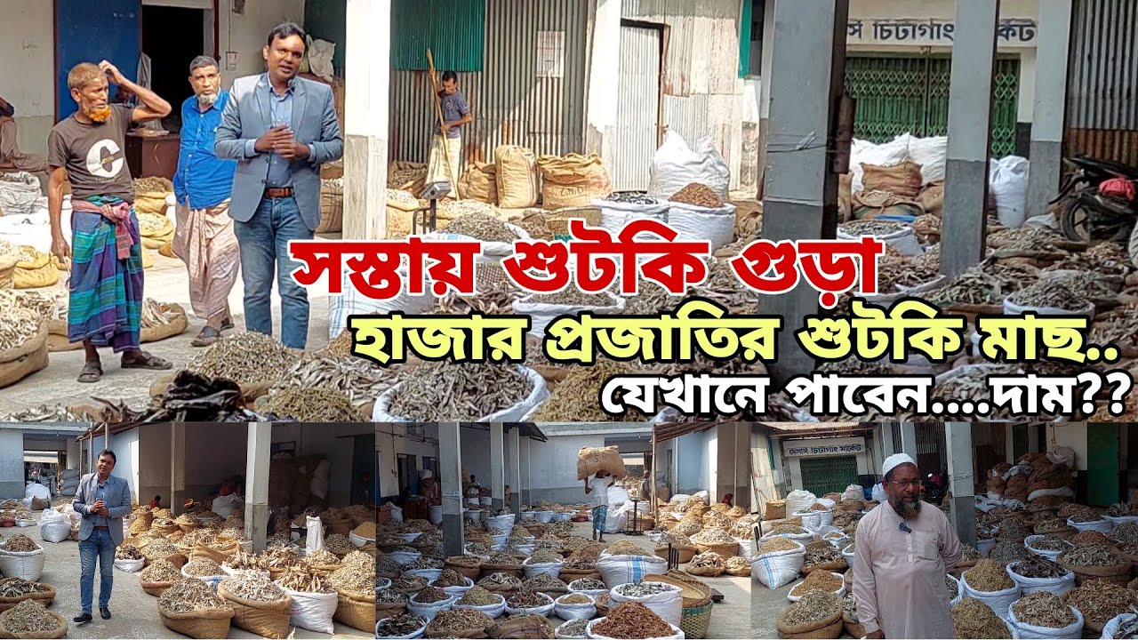 সস্তায় শুটকি গুড়া ও হাজার প্রজাতির শুটকি মাছ যেখানে পাবেন | দাম দেখুন | Agro Dream Bangla