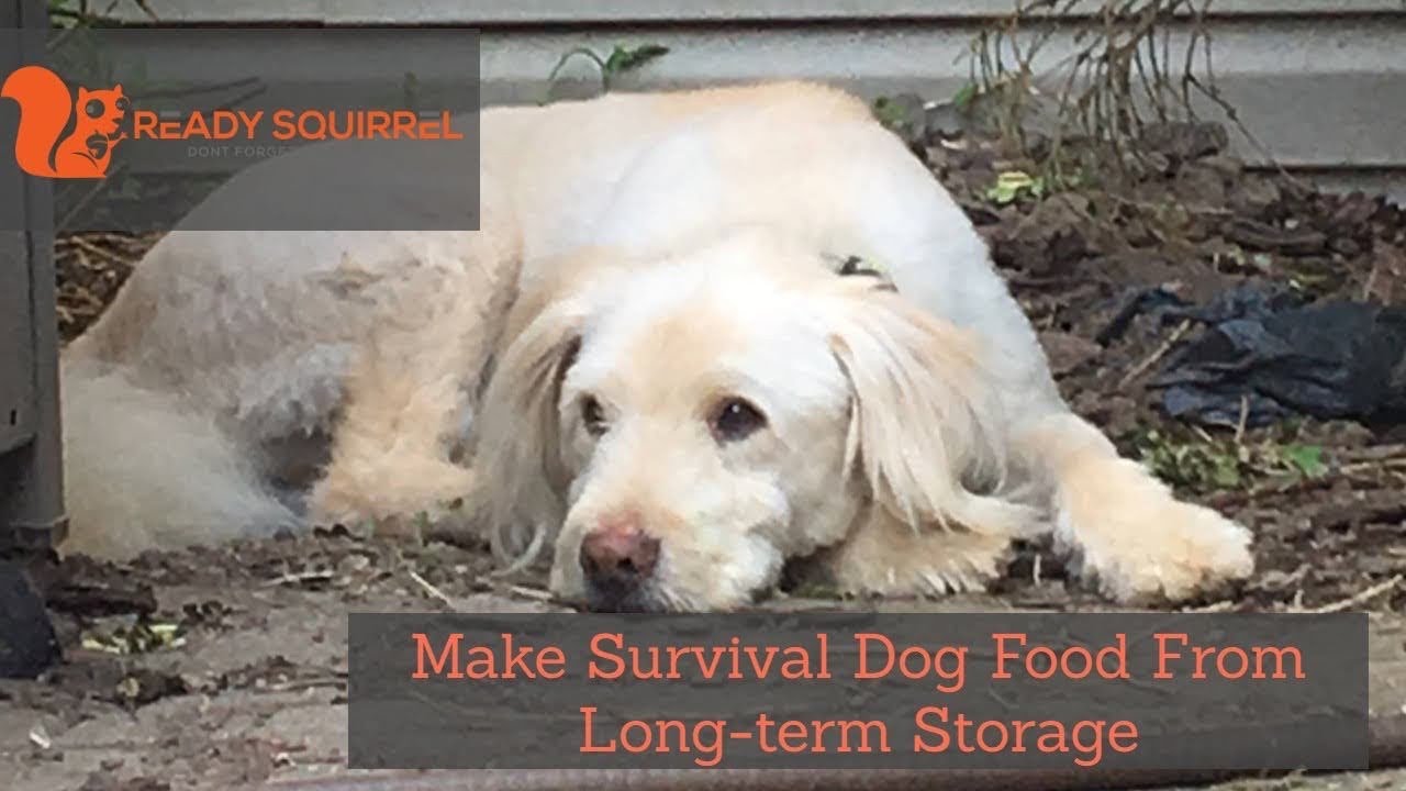 Make Survival Dog Food From Long-term Storage