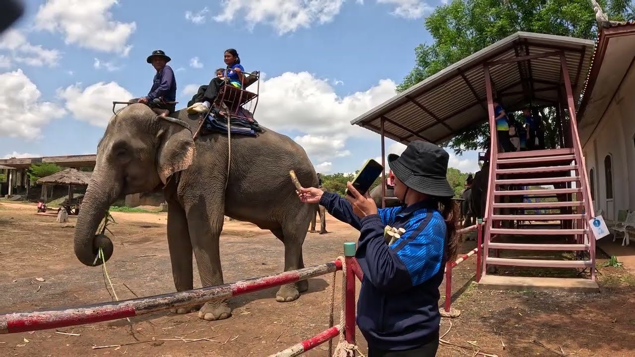 Thai Students' Excitement At Taking A Tour With Elephants.