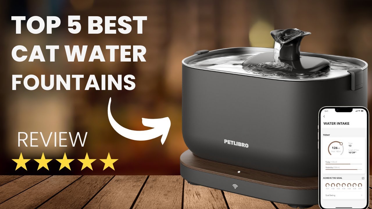 Top 5 Best Cat Water Fountains for 2026 | Best Automatic, Stainless Steel & Easy to Clean Options!